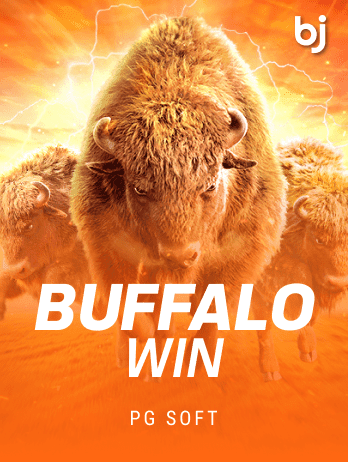 Buffalo Win game icon