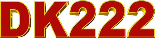 dk222onlinegame.com Logo